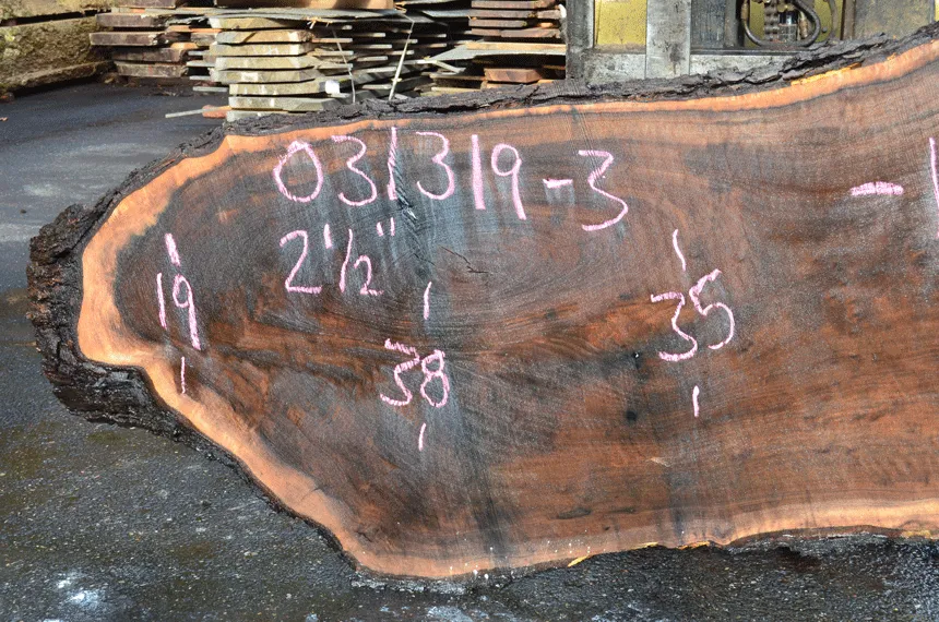 031319-03 Oregon Black Walnut Slab