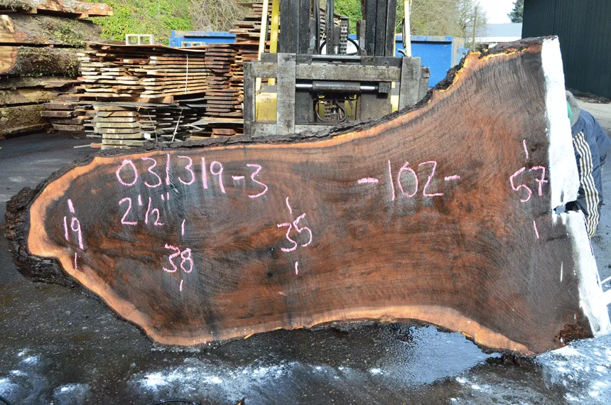 031319-03 Oregon Black Walnut Slab