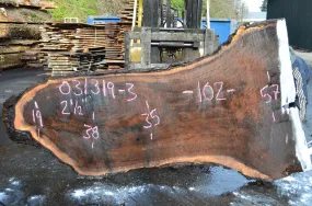 031319-03 Oregon Black Walnut Slab