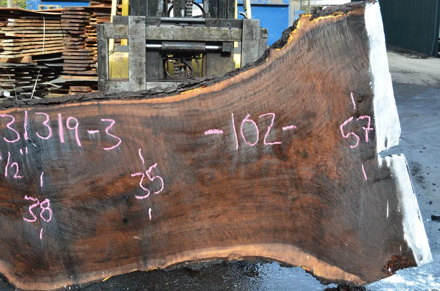 031319-03 Oregon Black Walnut Slab