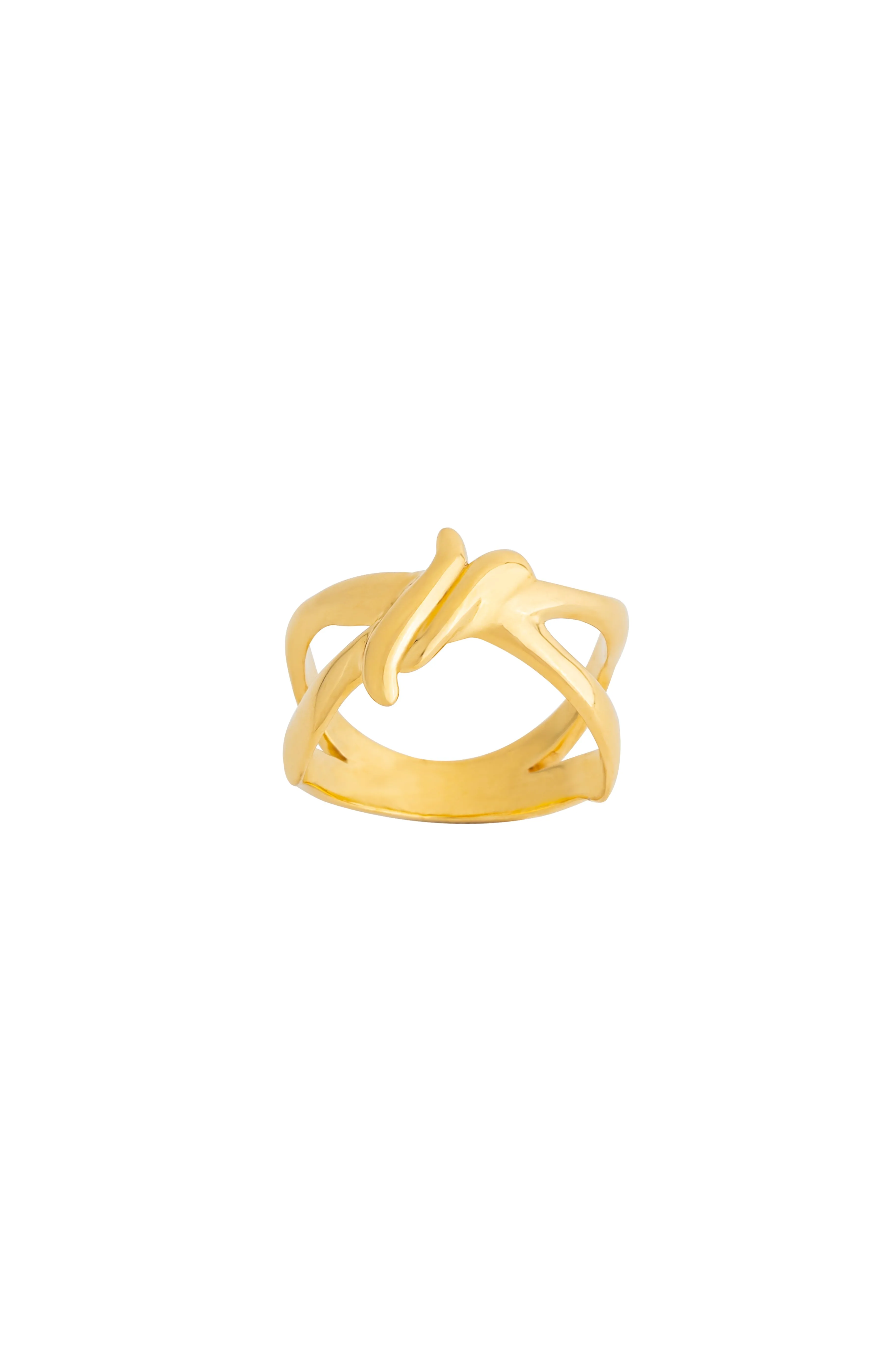 Agastya Twigs Ring