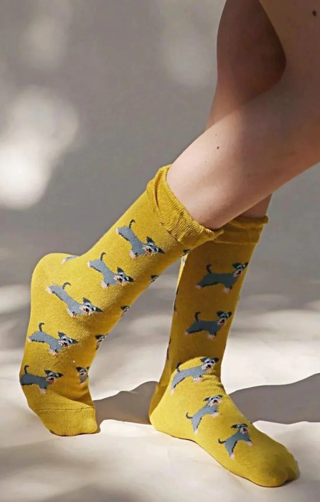 Animal Rescue Pairs SCHNAUZER Dog Socks