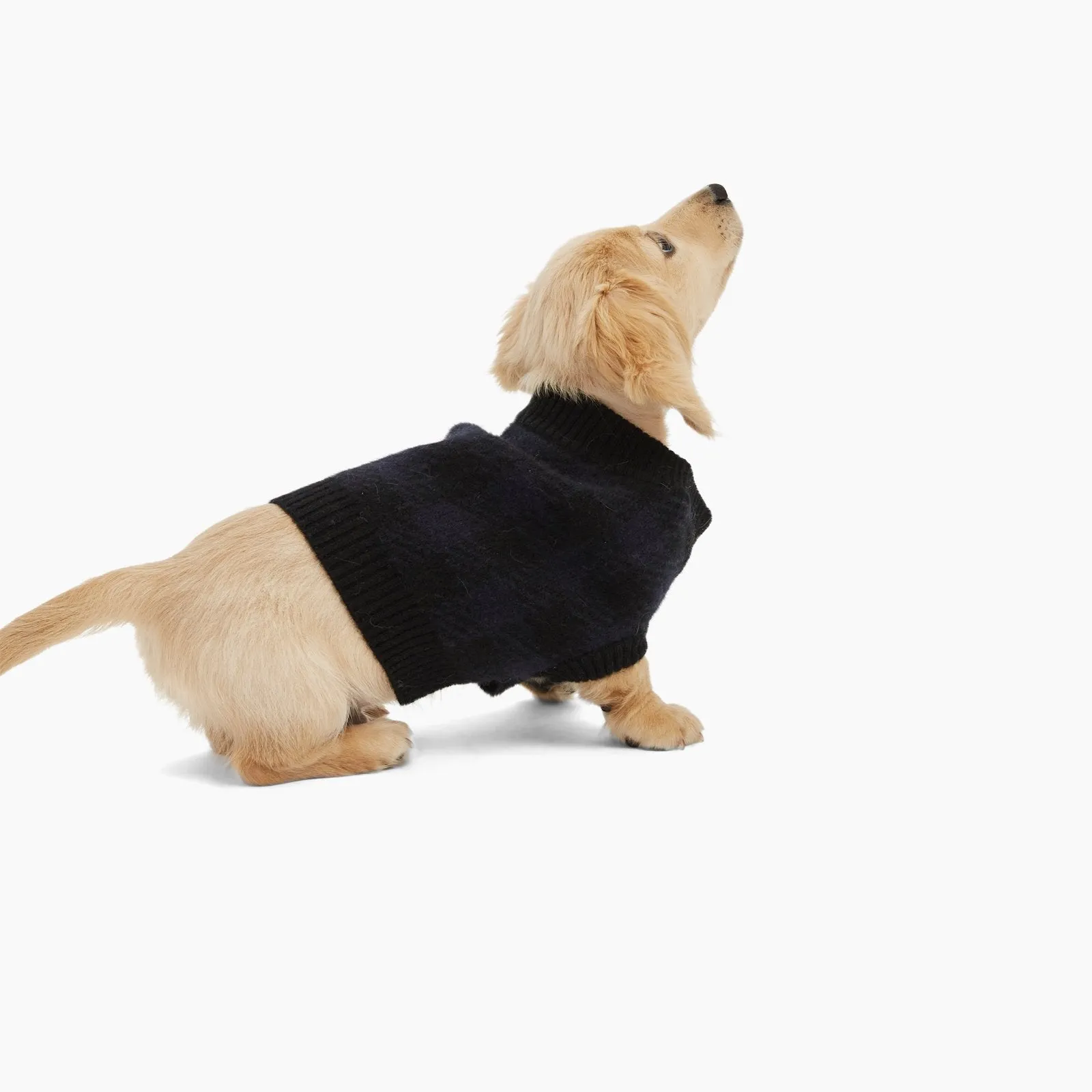 Cashmere Plaid Dog Sweater