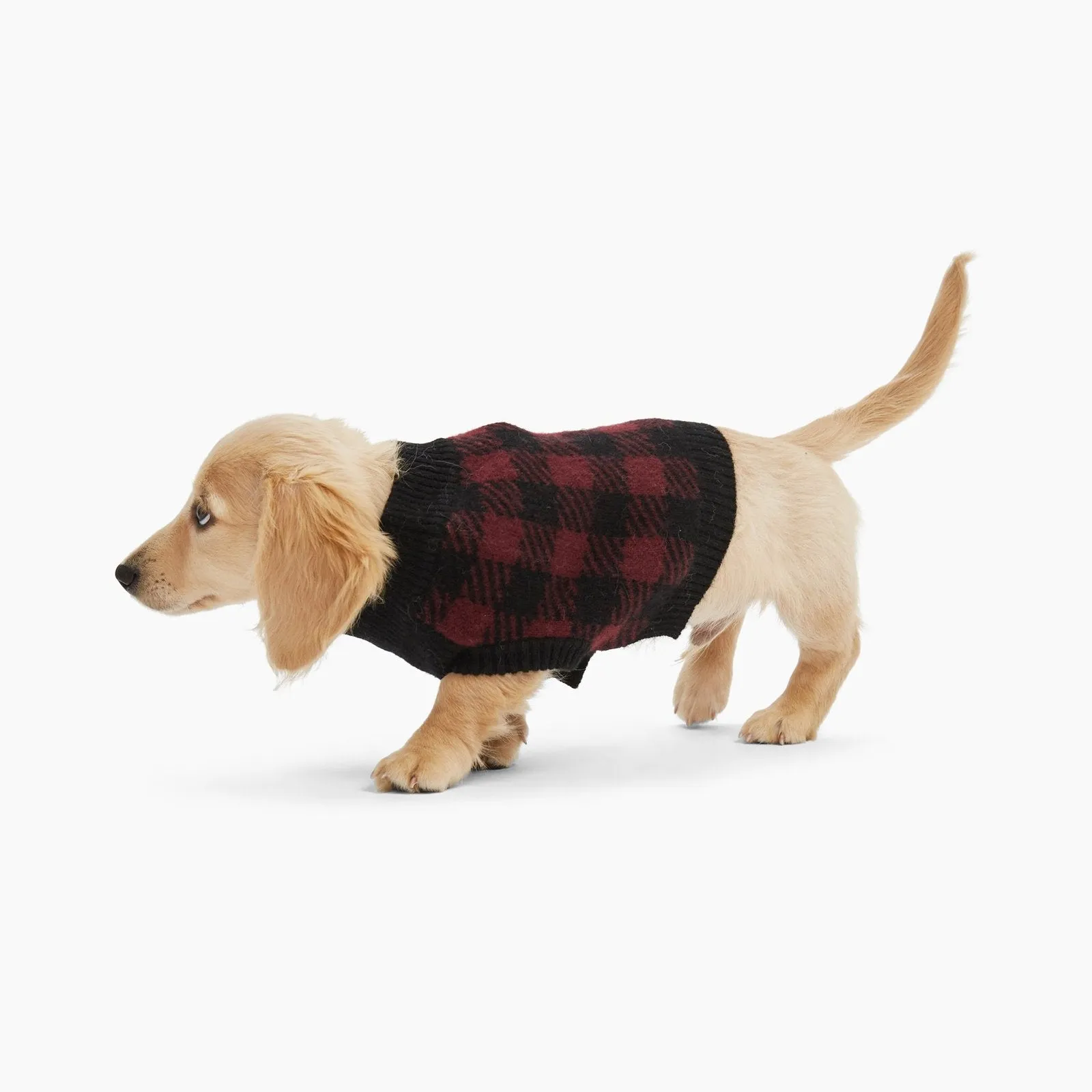 Cashmere Plaid Dog Sweater