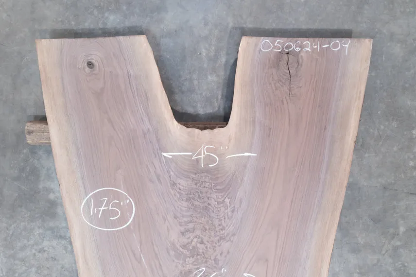 Oregon Black Walnut Slab 050624-4