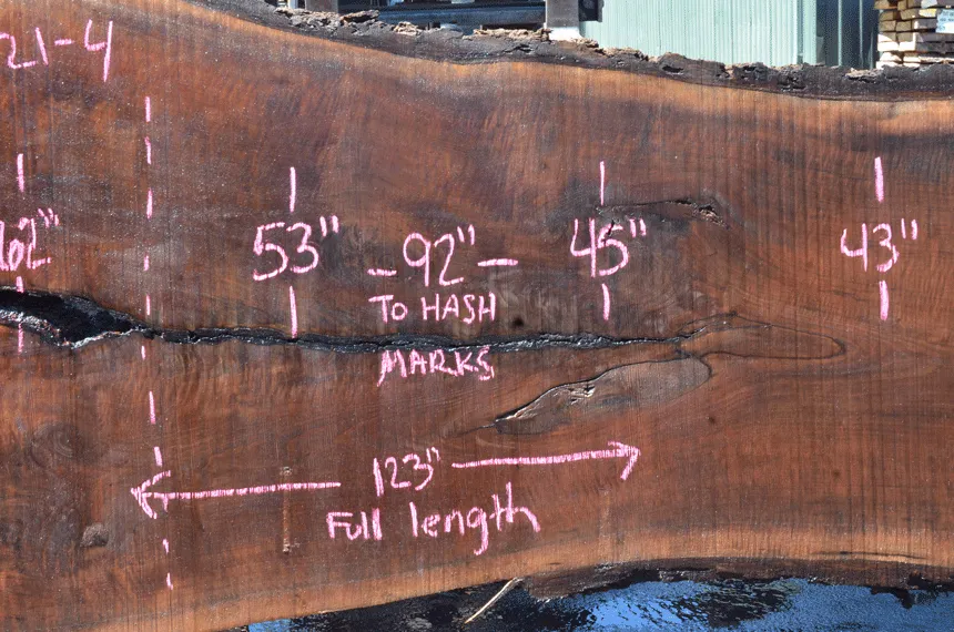 Oregon Black Walnut Slab 060121-04