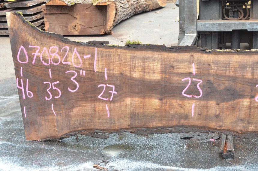 Oregon Black Walnut Slab 070820-01