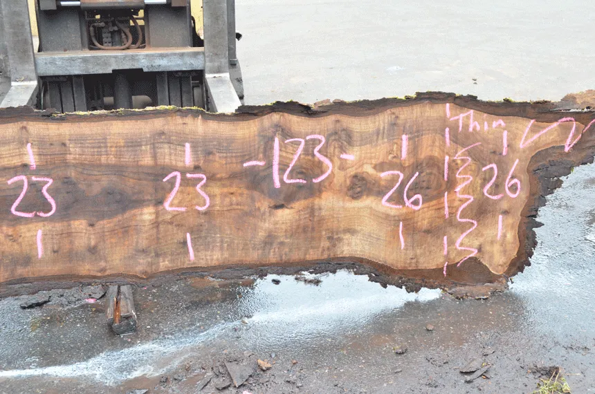 Oregon Black Walnut Slab 070820-01