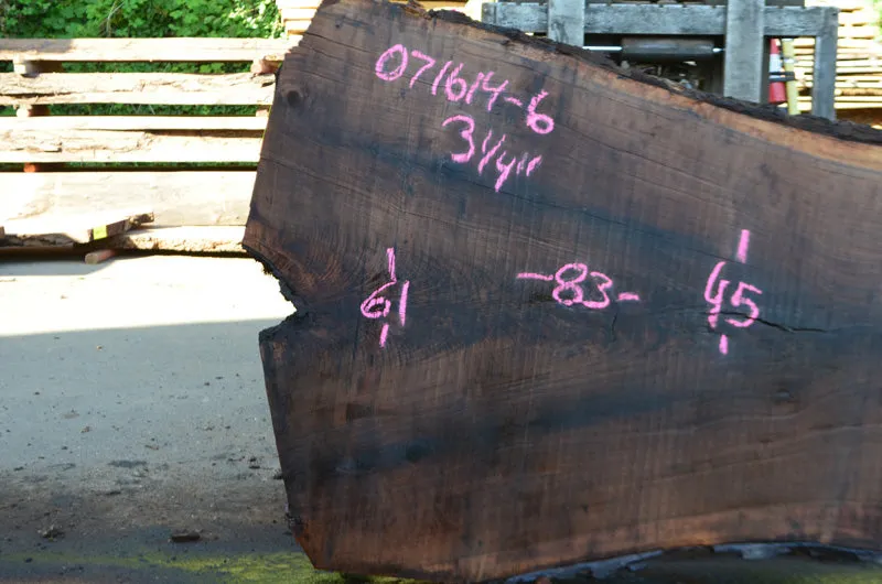 Oregon Black Walnut Slab 071614-06