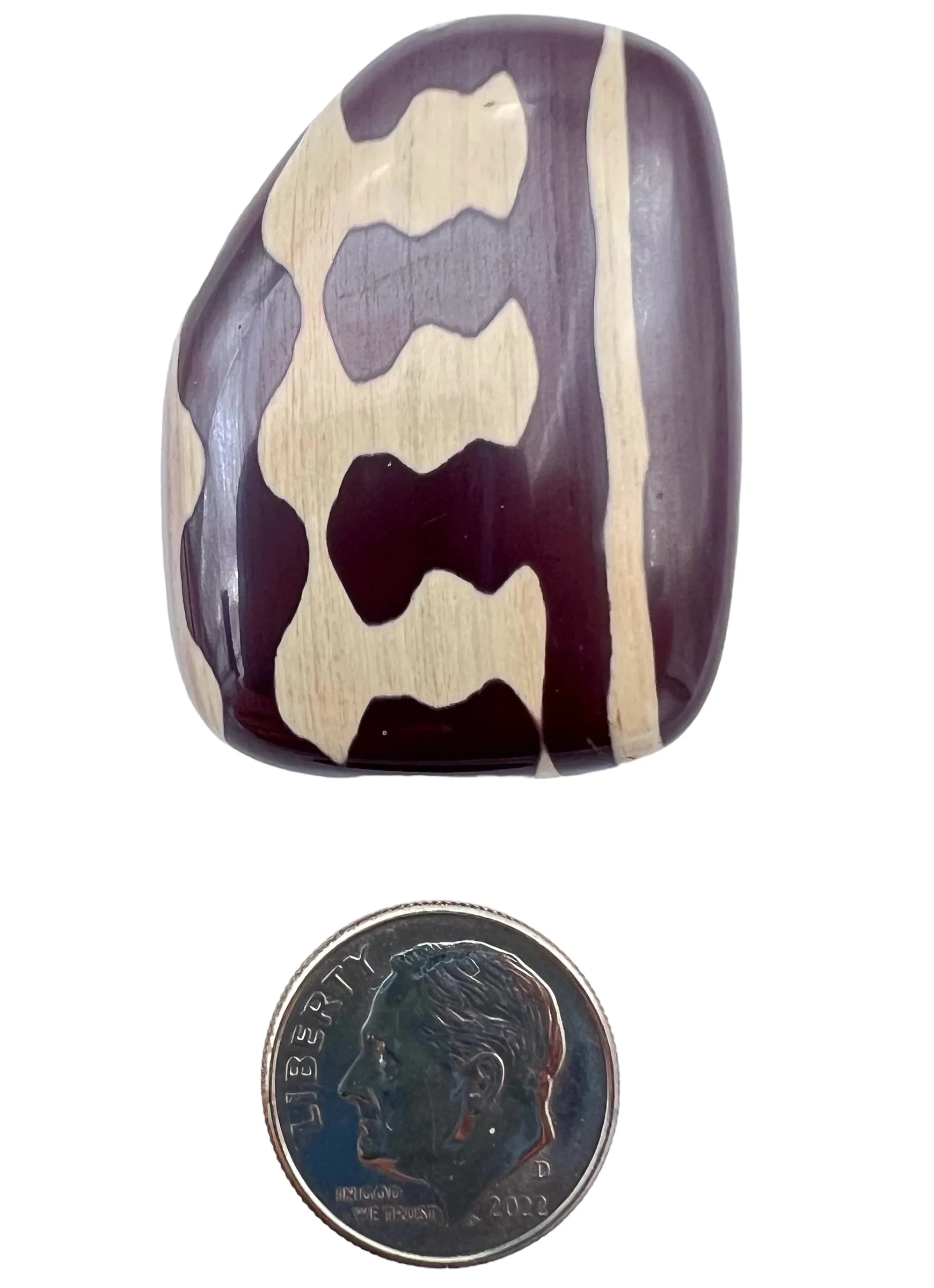 RARE Australian Zebra Stone Freeform Cabochon 40x29mm