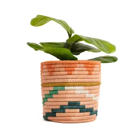 Seratonia Planter by Kazi Goods